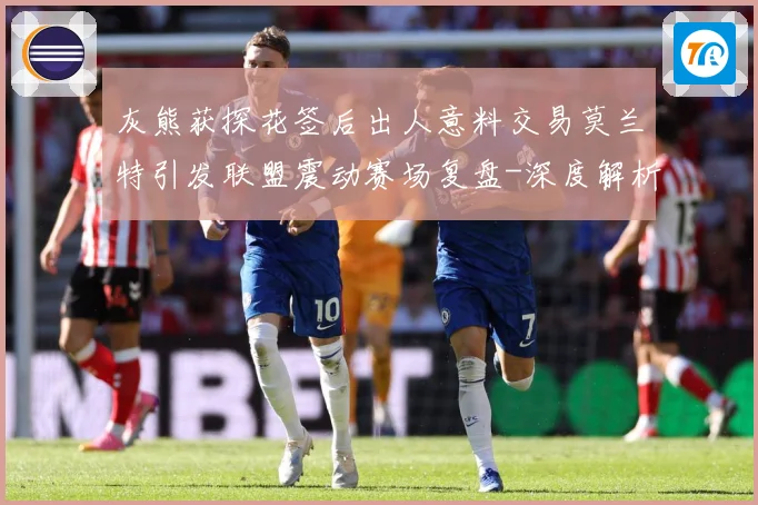 灰熊获探花签后出人意料交易莫兰特引发联盟震动赛场复盘-深度解析